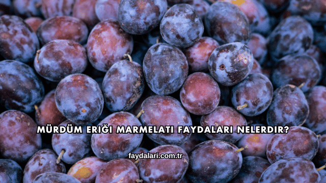 Mürdüm Eriği Marmelatı Faydaları Nelerdir?