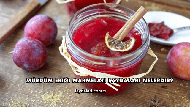 Mürdüm Eriği Marmelatı Faydaları Nelerdir?