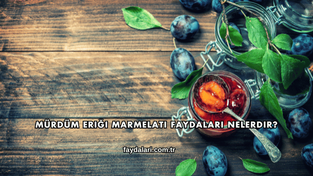 Mürdüm Eriği Marmelatı Faydaları Nelerdir?