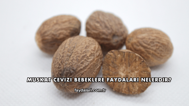 Muskat Cevizi Bebeklere Faydaları Nelerdir?