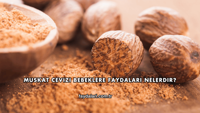 Muskat Cevizi Bebeklere Faydaları Nelerdir?