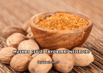 Muskat Cevizi Faydaları Nelerdir?