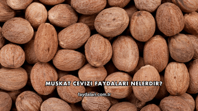 Muskat Cevizi Faydaları Nelerdir?