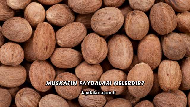 Muskatın Faydaları Nelerdir?