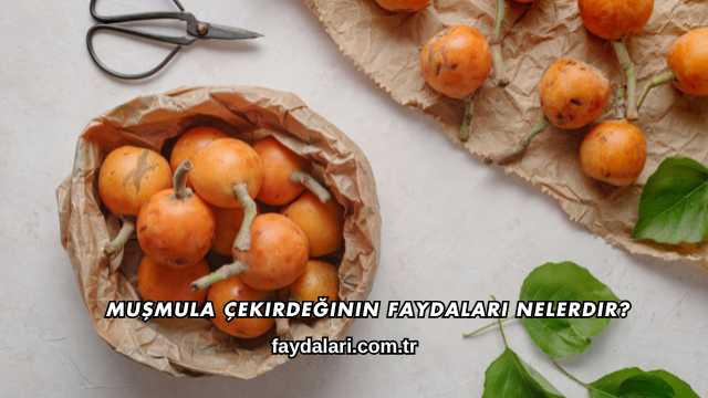 Muşmula Çekirdeğinin Faydaları Nelerdir?