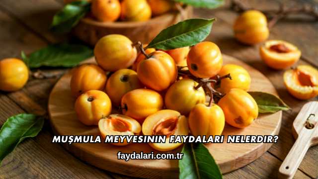 Muşmula Meyvesinin Faydaları Nelerdir?