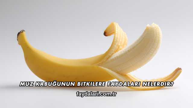 Muz Kabuğunun Bitkilere Faydaları Nelerdir?