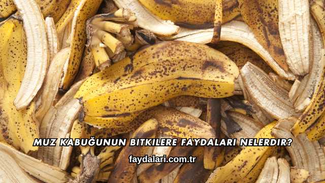 Muz Kabuğunun Bitkilere Faydaları Nelerdir?