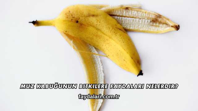 Muz Kabuğunun Bitkilere Faydaları Nelerdir?