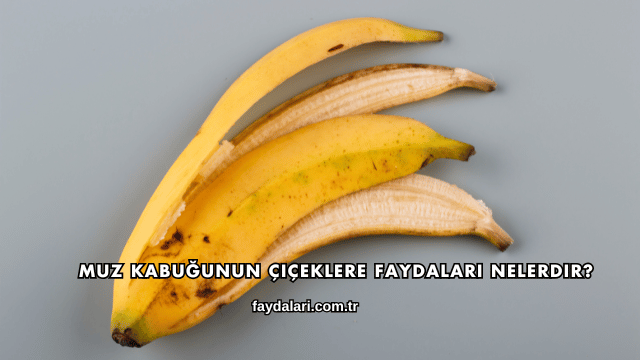 Muz Kabuğunun Çiçeklere Faydaları Nelerdir?