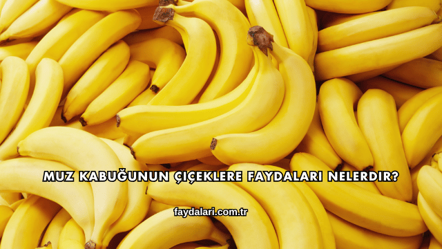 Muz Kabuğunun Çiçeklere Faydaları Nelerdir?