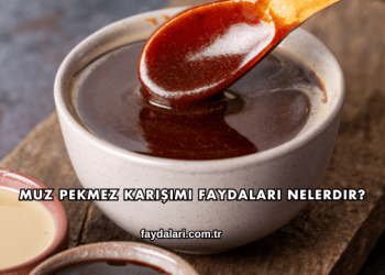 Muz Pekmez Karışımı Faydaları Nelerdir?