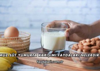 Muz Süt Yumurta Karışımı Faydaları Nelerdir?