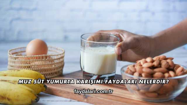 Muz Süt Yumurta Karışımı Faydaları Nelerdir?