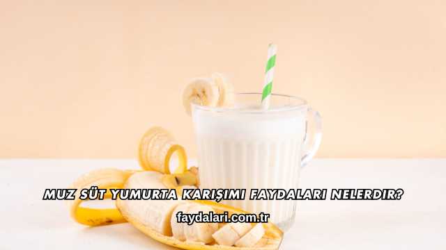 Muz Süt Yumurta Karışımı Faydaları Nelerdir?