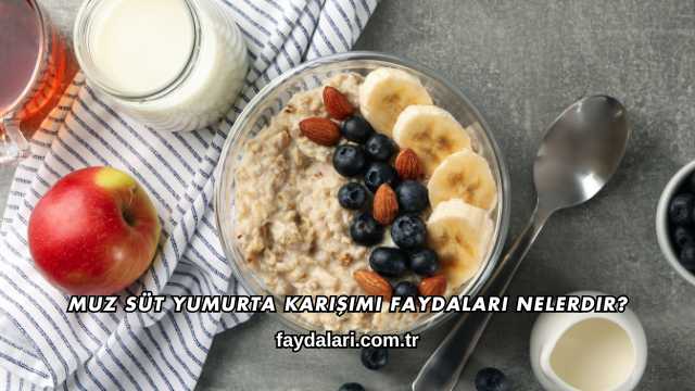 Muz Süt Yumurta Karışımı Faydaları Nelerdir?