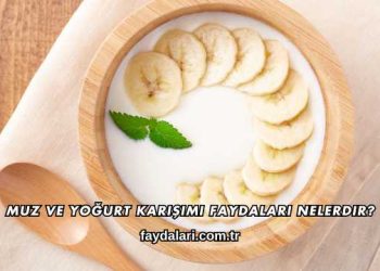 Muz ve Yoğurt Karışımı Faydaları Nelerdir?