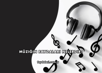 Müziğin Faydaları Nelerdir?