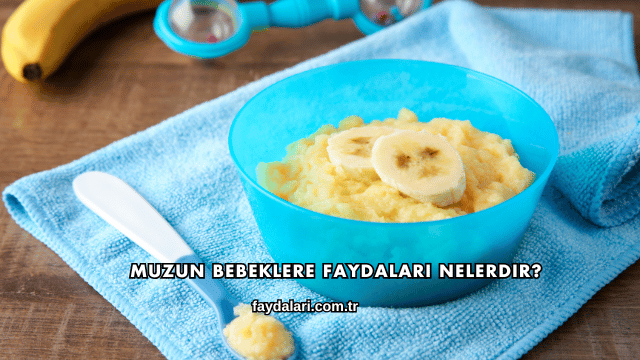 Muzun Bebeklere Faydaları Nelerdir?