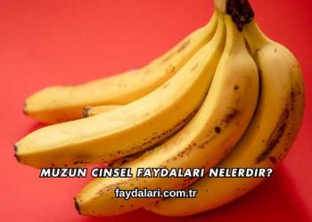 Muzun Cinsel Faydaları Nelerdir?