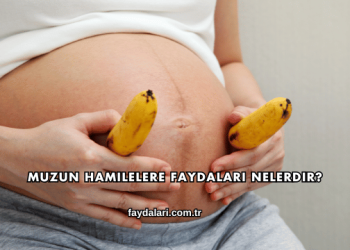 Muzun Hamilelere Faydaları Nelerdir?