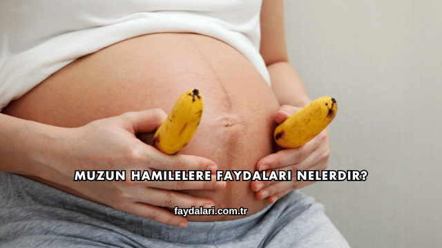 Muzun Hamilelere Faydaları Nelerdir?
