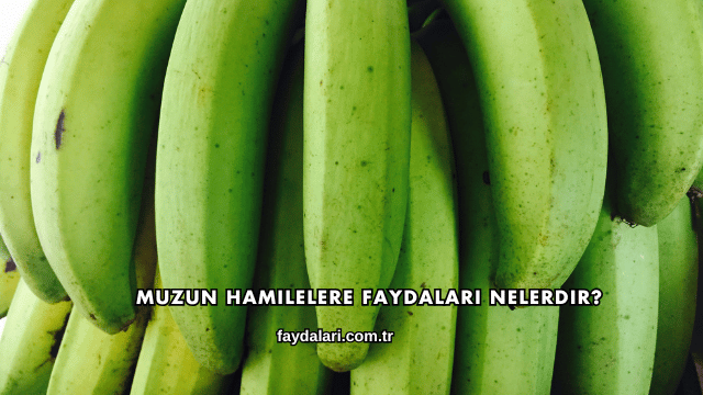 Muzun Hamilelere Faydaları Nelerdir?