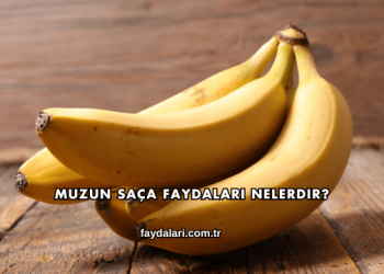 Muzun Saça Faydaları Nelerdir?