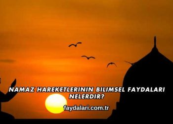 Namaz Hareketlerinin Bilimsel Faydaları Nelerdir?