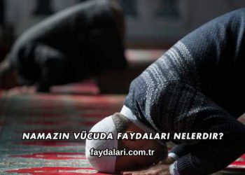Namazın Vücuda Faydaları Nelerdir?