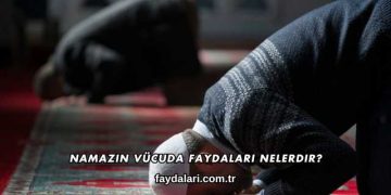 Namazın Vücuda Faydaları Nelerdir?