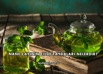 Nane Çayının Cilde Faydaları Nelerdir?