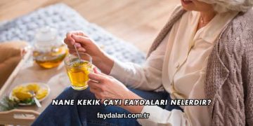 Nane Kekik Çayı Faydaları Nelerdir?