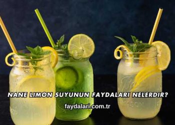 Nane Limon Suyunun Faydaları Nelerdir?
