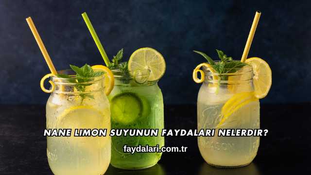 Nane Limon Suyunun Faydaları Nelerdir?