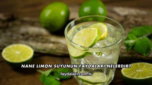 Nane Limon Suyunun Faydaları Nelerdir?