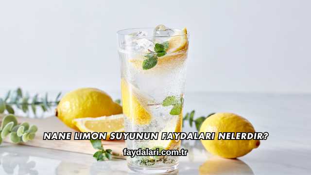 Nane Limon Suyunun Faydaları Nelerdir?