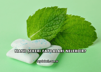 Nane Şekeri Faydaları Nelerdir?