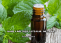 Nane Yağı Cilde Faydaları Nelerdir?