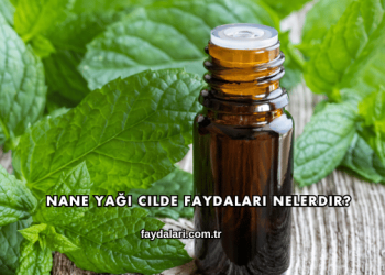 Nane Yağı Cilde Faydaları Nelerdir?
