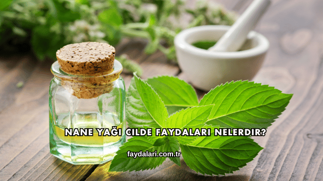 Nane Yağı Cilde Faydaları Nelerdir?