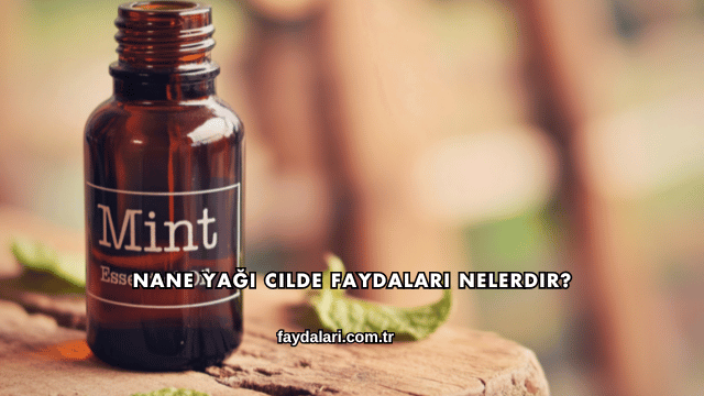 Nane Yağı Cilde Faydaları Nelerdir?