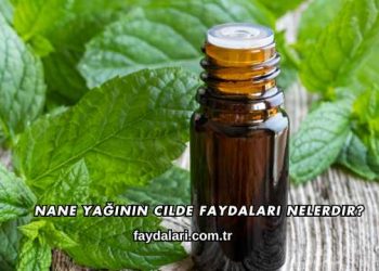 Nane Yağının Cilde Faydaları Nelerdir?