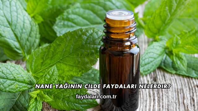Nane Yağının Cilde Faydaları Nelerdir?