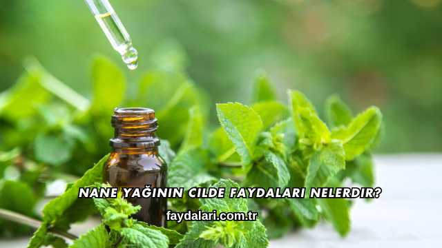 Nane Yağının Cilde Faydaları Nelerdir?