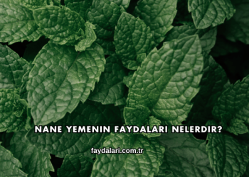 Nane Yemenin Faydaları Nelerdir?