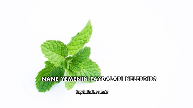 Nane Yemenin Faydaları Nelerdir?