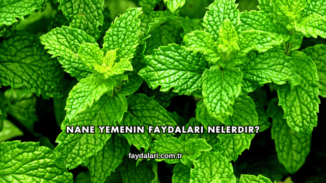 Nane Yemenin Faydaları Nelerdir?