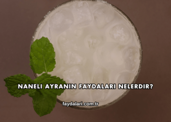 Naneli Ayranın Faydaları Nelerdir?