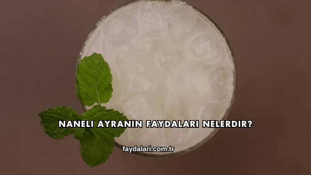 Naneli Ayranın Faydaları Nelerdir?